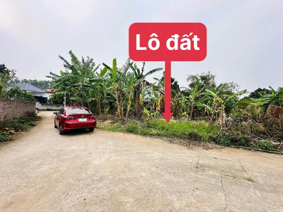 Đất nền Tam Hợp, Bình Xuyên 92m² giá 1 tỷ - Đường thông thoáng, vị trí đắc địa!