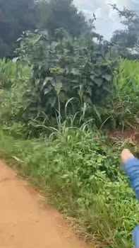 Đất mặt tiền bê tông tại Ea Dắh 2640m² giá 2.64 tỷ - Cơ hội đầu tư tuyệt vời!