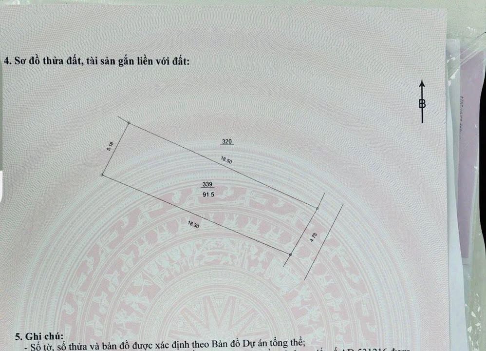 Đất nền Lĩnh Nam Hoàng Mai 92m² - Tiềm năng tăng trưởng cao!