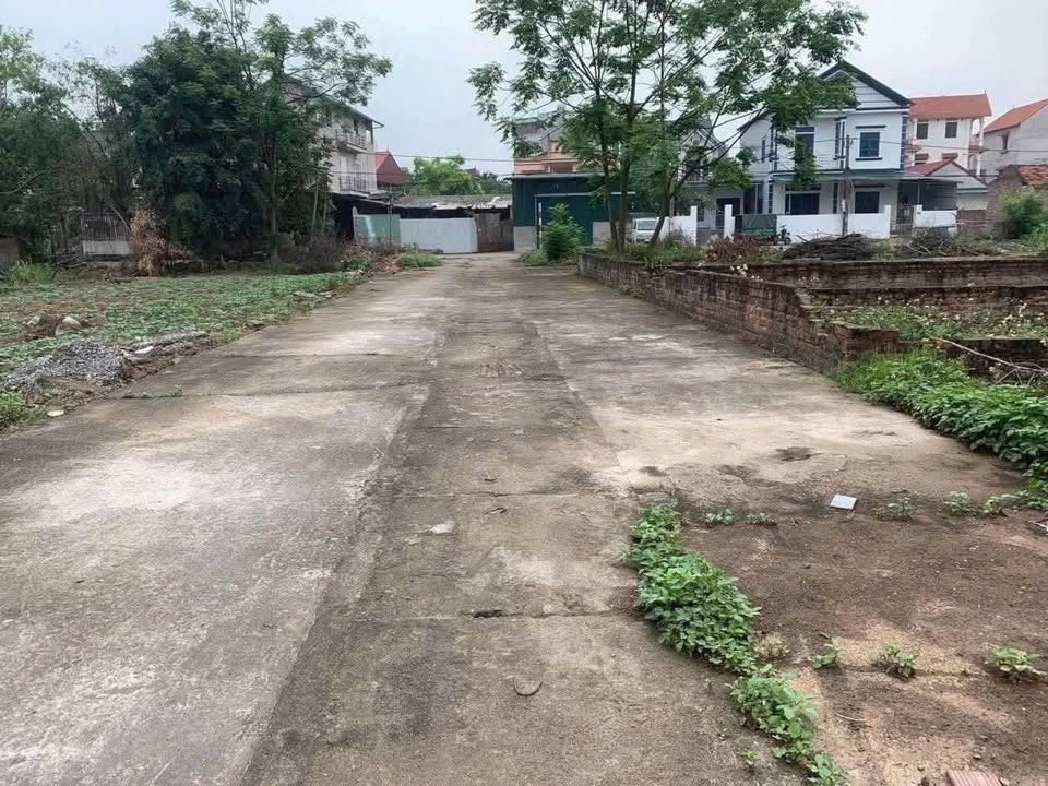 Đất nền Lệ Chi Gia Lâm 75m² - Đầu tư hấp dẫn gần sân bay!