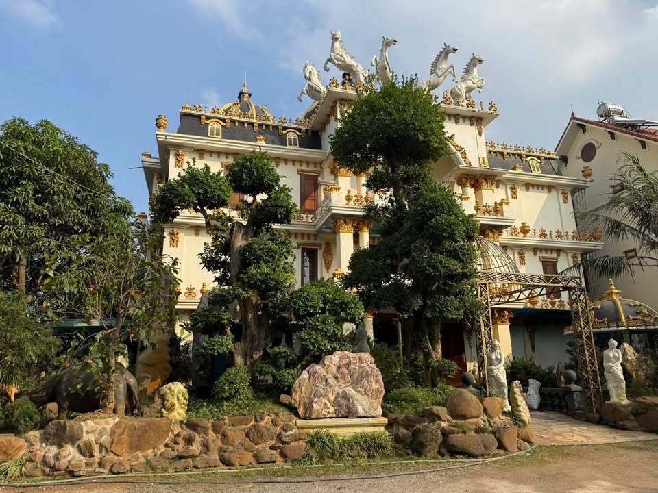 Căn dinh thự Hòa Mạc Duy Tiên 270m² giá 26 tỷ - Sẵn sàng chuyển nhượng!