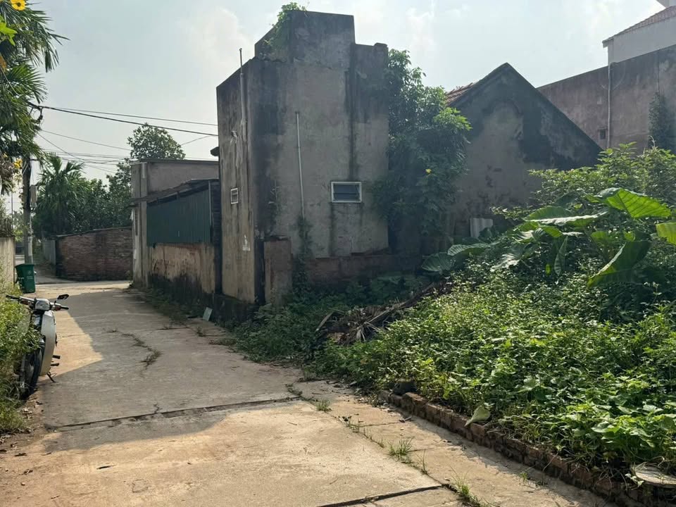 Bán gấp đất Thường Tín 59,3m² giá 4 tỷ - Ô tô đỗ cửa, tiện ích đầy đủ!