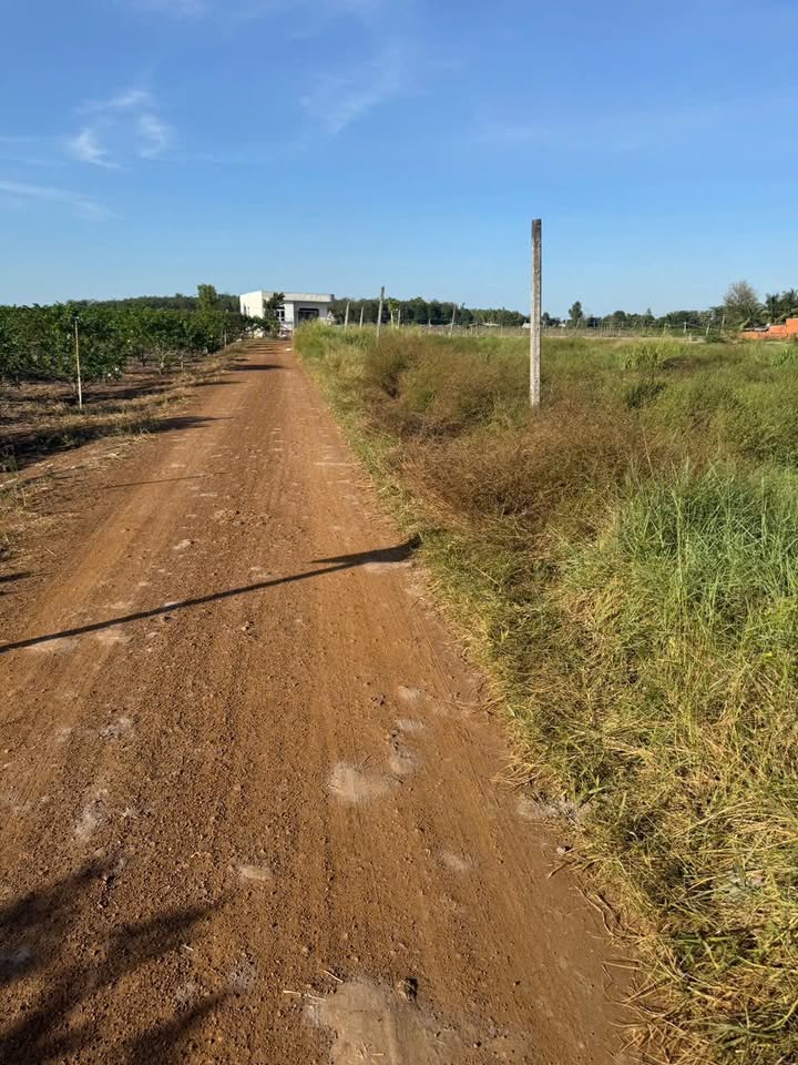 Đất thổ cư 1200m² ấp Tân Thạnh, xã Tân Phú - Giá chỉ 12.4 tỷ VND, sổ hồng chính chủ!