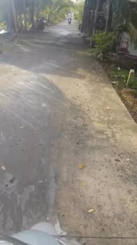 Đất mặt tiền đường Đan 15m, 1025m² giá 950 triệu - Cơ hội đầu tư hấp dẫn!