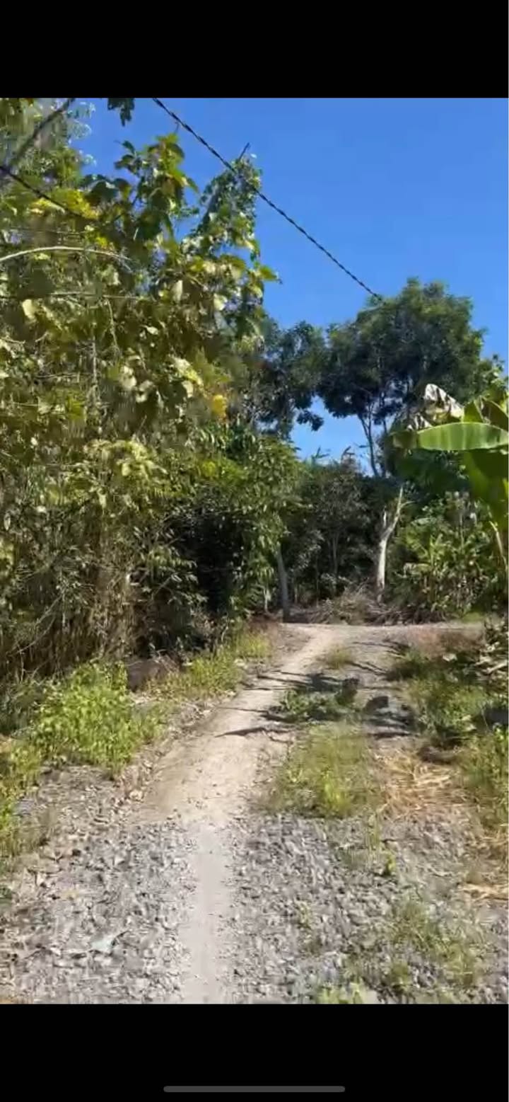 Đất vườn tại ấp 3 Phú Tân, Định Quán 360m² giá 550 triệu - Cơ hội đầu tư tuyệt vời!