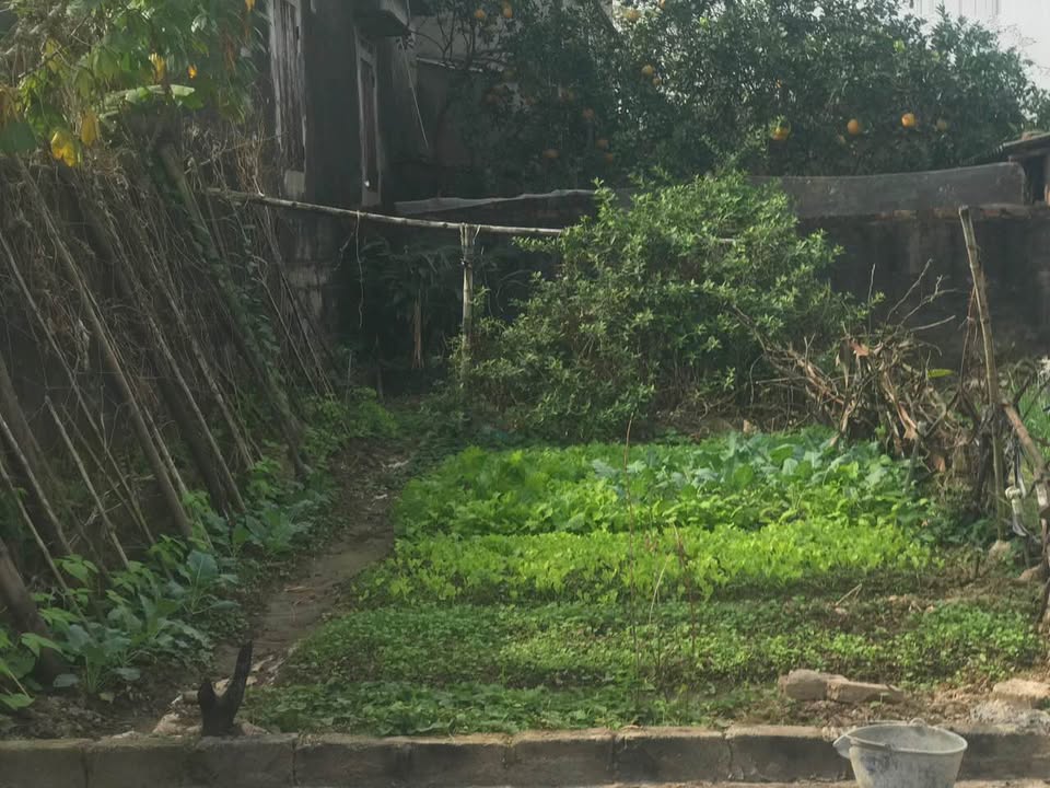 Đất thổ cư Phú Xuyên 48,5m² giá nhỉnh 2 tỷ - Tiềm năng x2 giá trị!