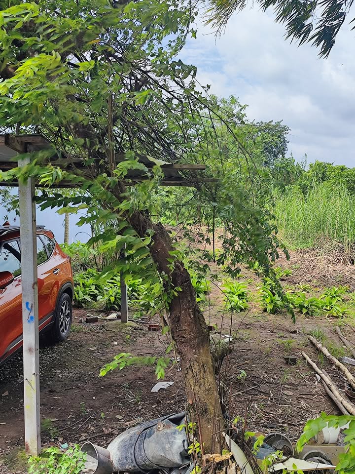 Đất nền thổ cư Cái Răng 112m² giá 1 tỷ - Cơ hội hiếm có tại Cần Thơ!