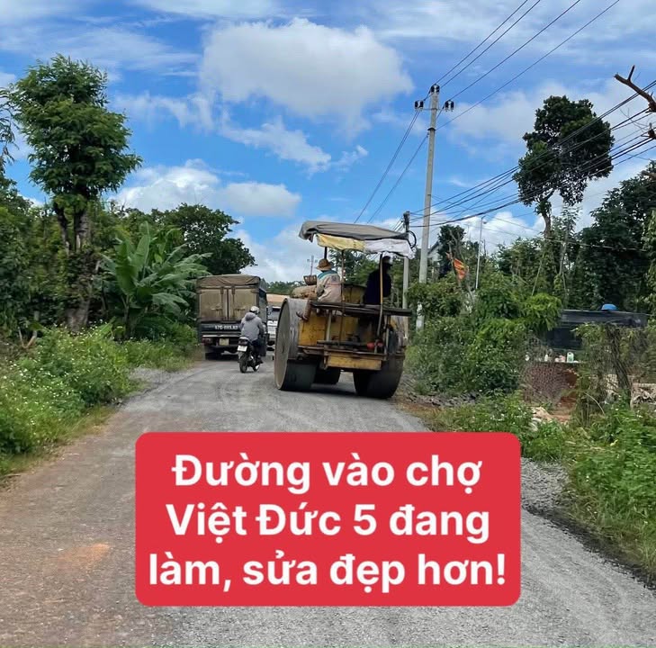Mảnh vườn 5 sào tại Cư Kuin - Giá chỉ 2.5 tỷ - Cơ hội vàng cho nhà đầu tư!