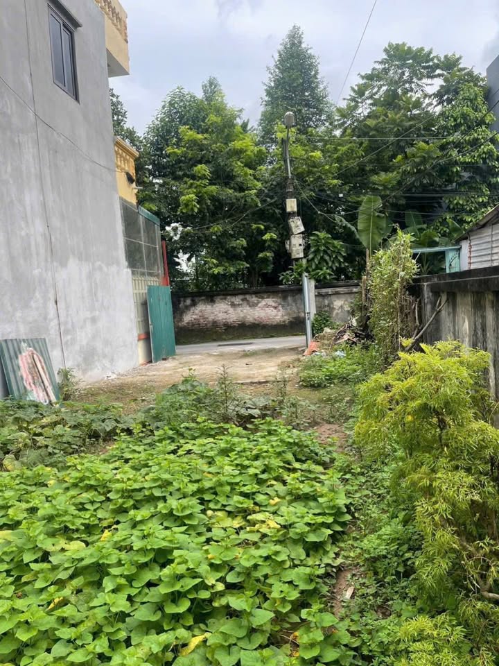 Lô Đất 70m² Phường Thịnh Lang Hòa Bình giá 1.45 tỷ - Cơ hội đầu tư tuyệt vời!