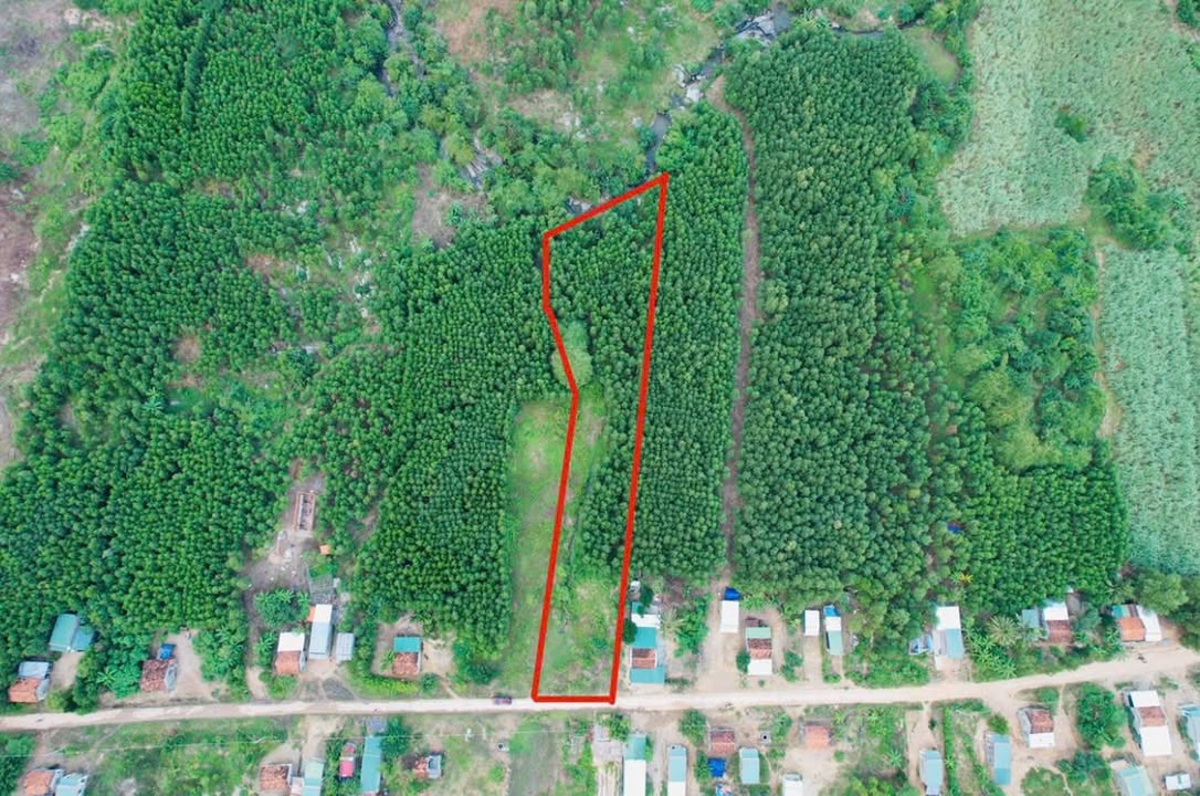 Lô đất Ninh Tây Ninh Hòa 2168m² giá 1.1 tỷ - Cơ hội đầu tư tuyệt vời!