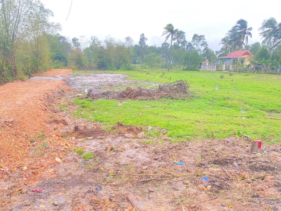 Đất mặt tiền Phan Văn Điển, Phú Đa 100m² giá 450 triệu - Đầu tư sinh lời tiềm năng!