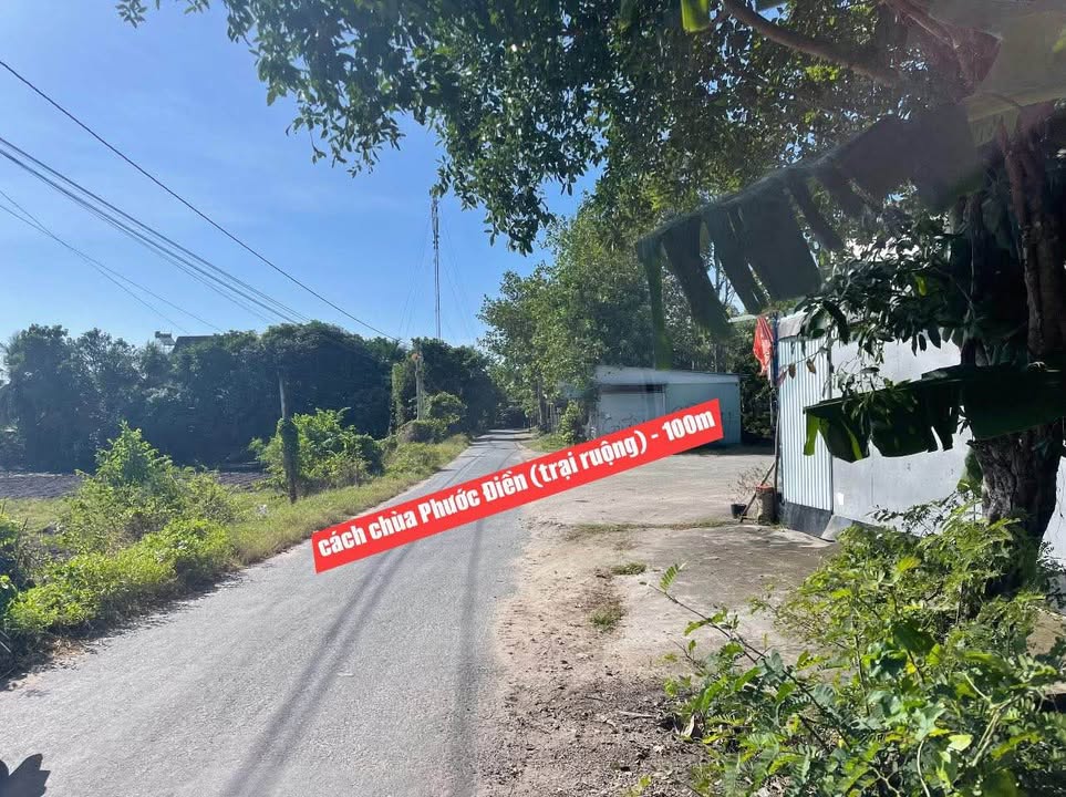 Đất mặt tiền đường nhựa Thới Sơn, Tịnh Biên 558m² giá 465 triệu - Pháp lý rõ ràng, sẵn sàng giao dịch!