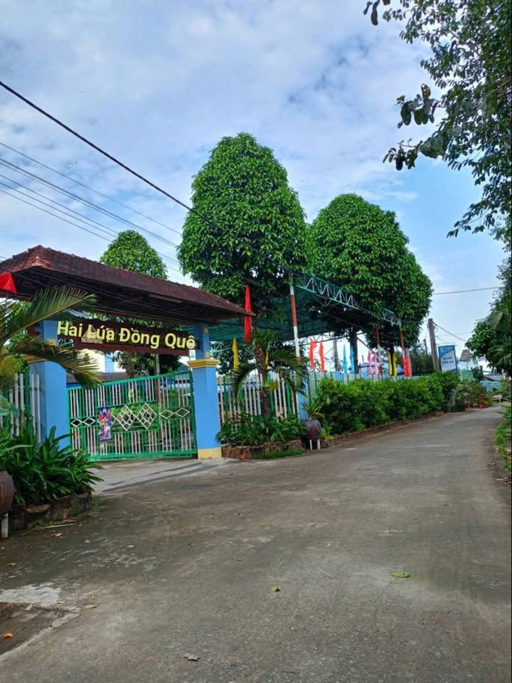 Bán đất nền mặt tiền đường Phạm Cự Lượng, An Giang 56m² - Giá chỉ 490 triệu, thương lượng!