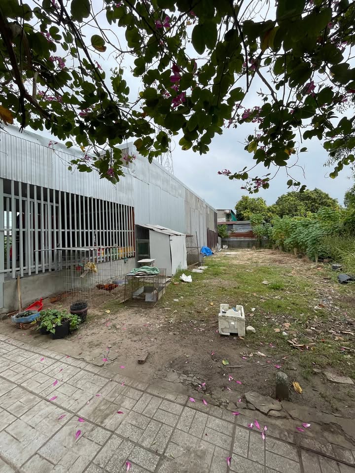 Đất nền Khu Dân Cư Thổ Đế, Bình Đức, Long Xuyên, 86m² giá 1.2 tỷ - Cơ hội đầu tư tuyệt vời!