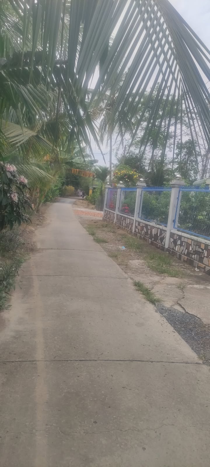 Đất nền Phú Hòa, Thoại Sơn 4628m² giá siêu rẻ - Đầu tư ngay!