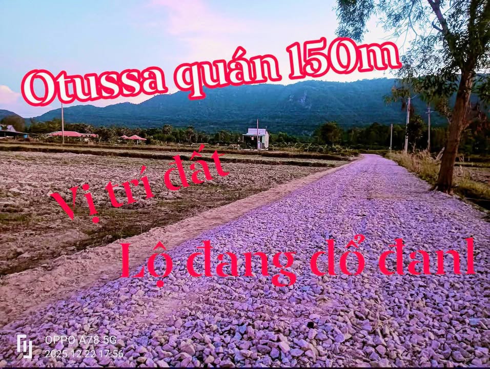 Bán đất An Cư, Tịnh Biên 4000m² giá 1.1 tỷ - Cơ hội đầu tư hấp dẫn!