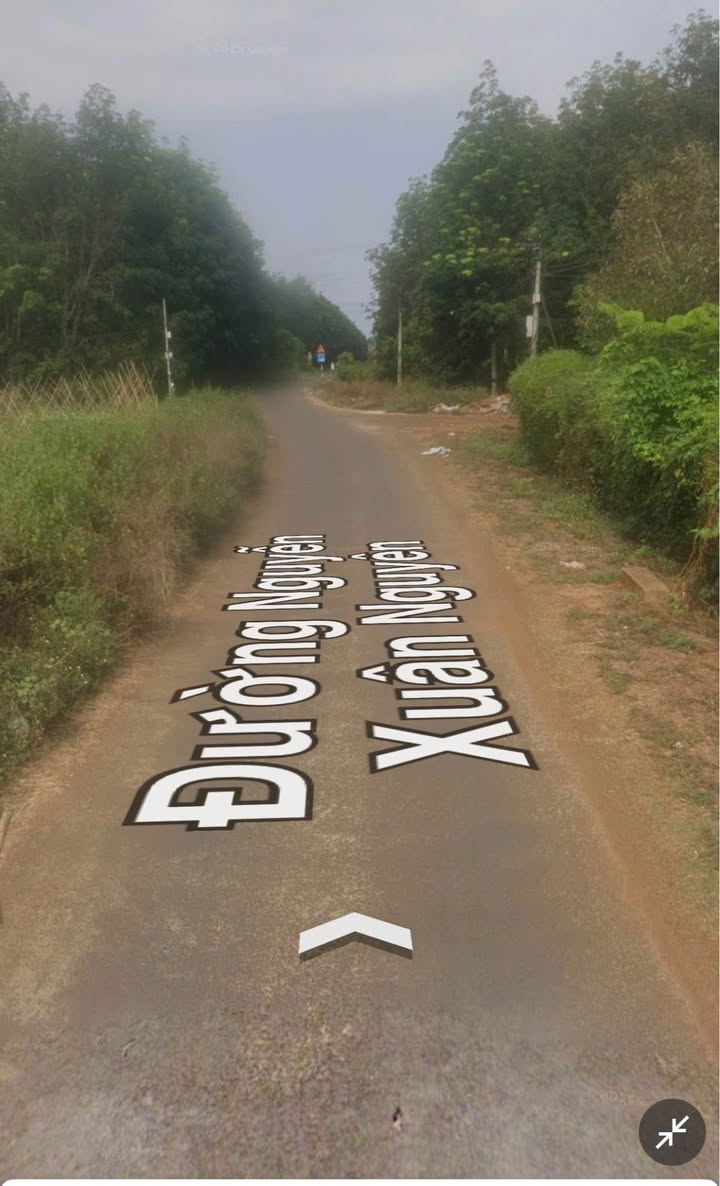 Đất mặt tiền Nguyễn Xuân Nguyên, 500m² giá 1.65 tỷ - Cơ hội đầu tư tuyệt vời!