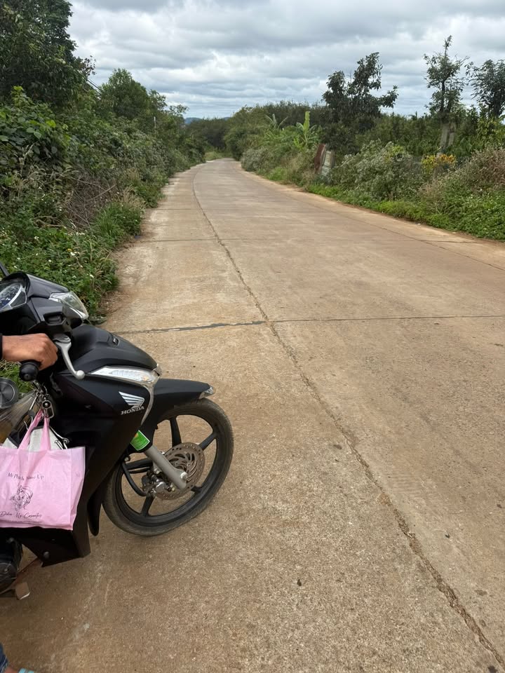 Farm Thôn 7, xã Ea Nam 4.5ha giá 12 tỷ - Đầu tư sinh lời ngay!