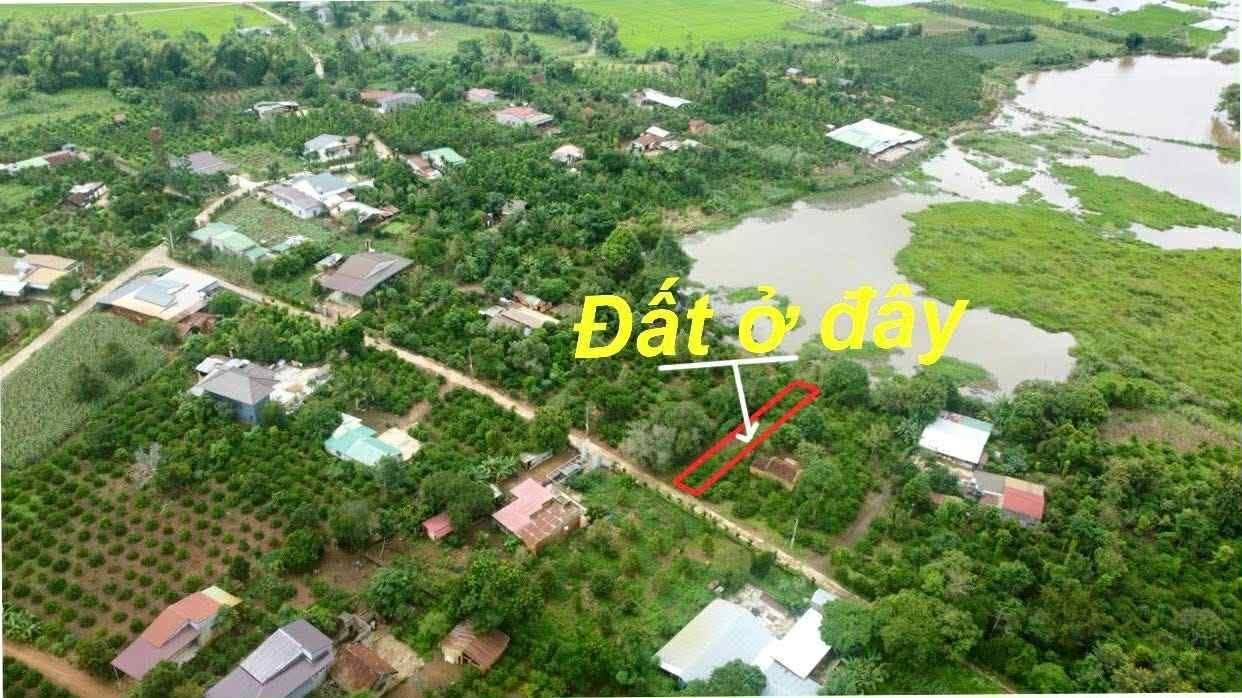 Đất thổ cư 250m² tại thôn Yên Thành 1, huyện Lắk - Giá chỉ 185 triệu!