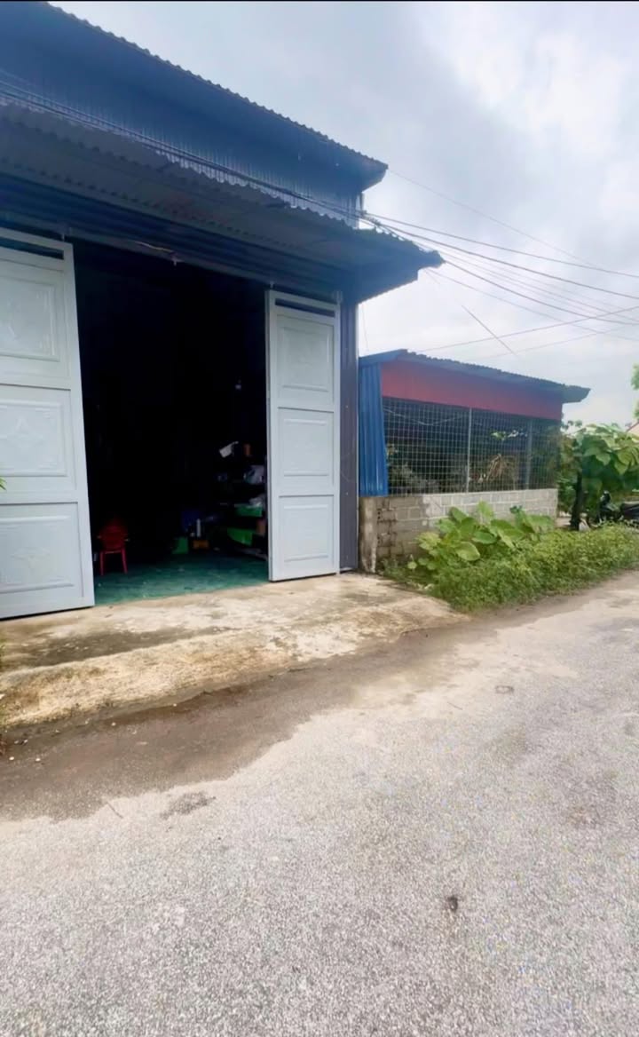 Đất nền Tân Dân An Lão 100m² giá thỏa thuận - Cơ hội đầu tư tuyệt vời!