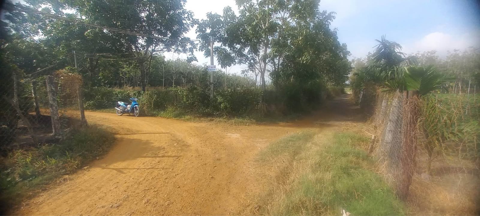 Đất nền Bàu Năng Dương Minh Châu 40.000m² giá thỏa thuận - Mặt tiền đường lớn thuận lợi!