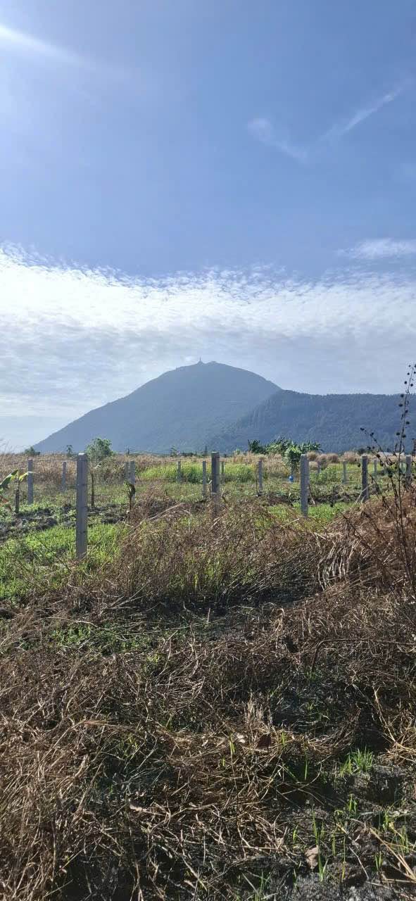 Đất Thạnh Tân, Tây Ninh 500m² giá 100 triệu - Sổ hồng riêng, view núi tuyệt đẹp!