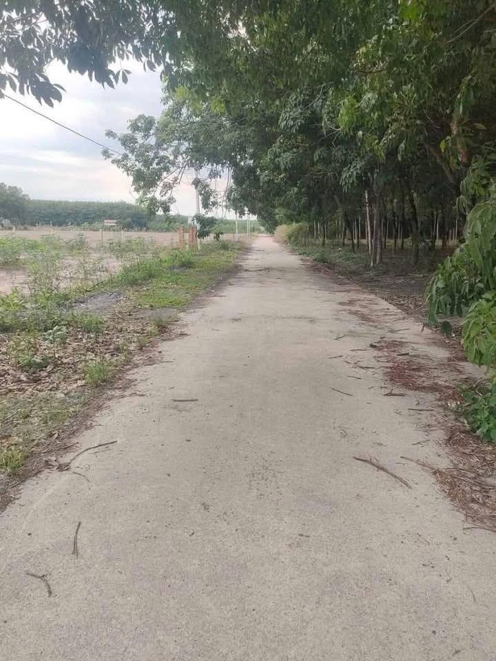 Đất nền Chơn Thành 250m² giá chỉ 500 triệu - Mặt tiền bê tông, giao thông thuận lợi!