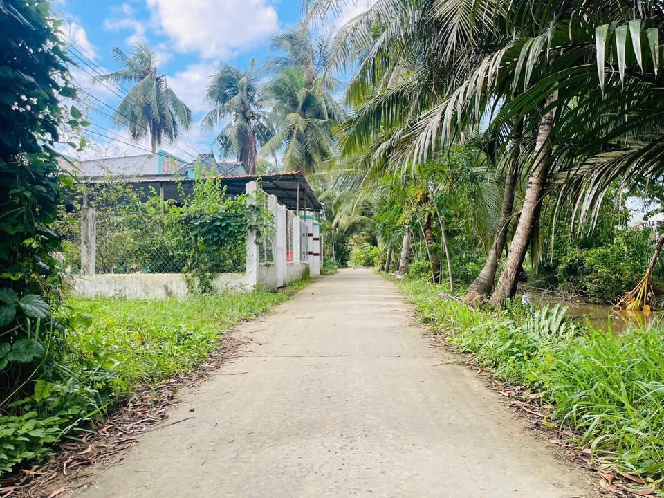 Đất nền Hòa Thuận, Châu Thành 117m² giá 350 triệu - Gần chợ và ủy ban