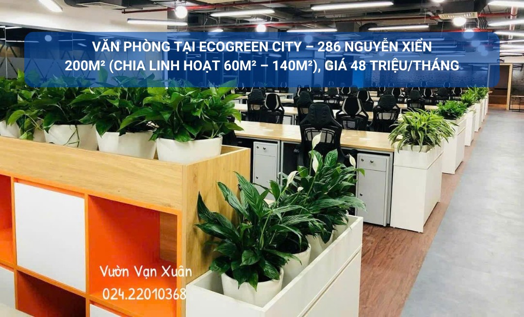 Cho thuê văn phòng EcoGreen City 200m² giá 48 triệu - Không gian làm việc lý tưởng!