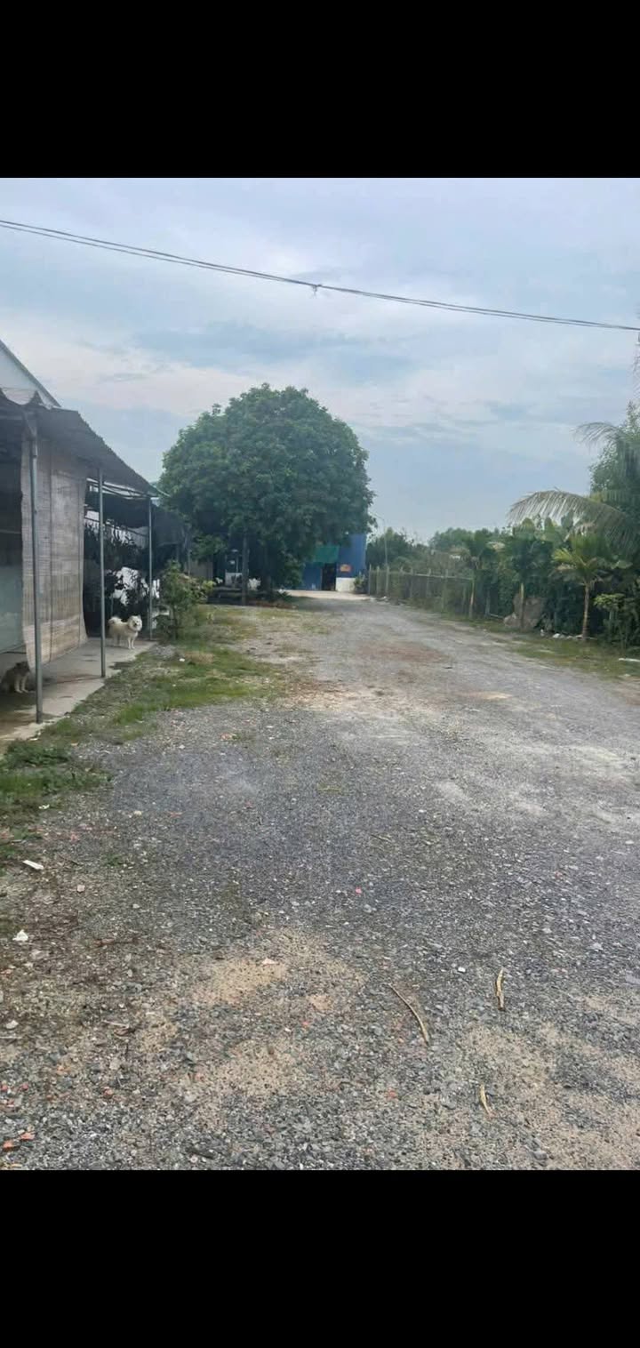 Đất Tân Mỹ, Bắc Tân Uyên 1.848m² giá 7.9 tỷ - Đầu tư sinh lời cao!