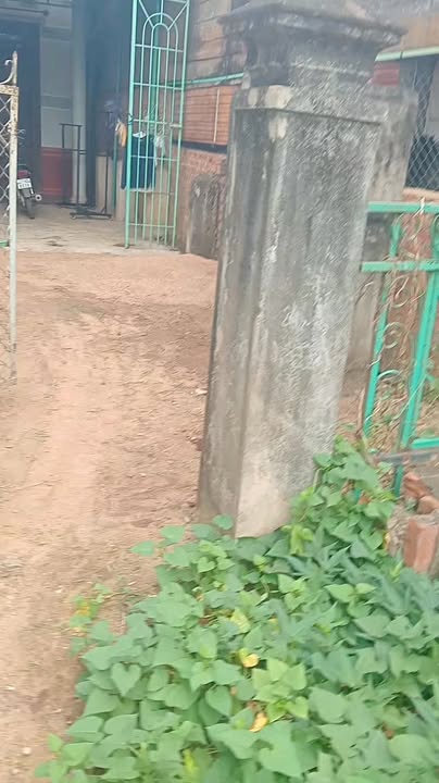 Nhà bán thôn 3, xã Eahleo, Đắk Lắk 150m² giá 1.6 tỷ - Tiềm năng đầu tư cao!