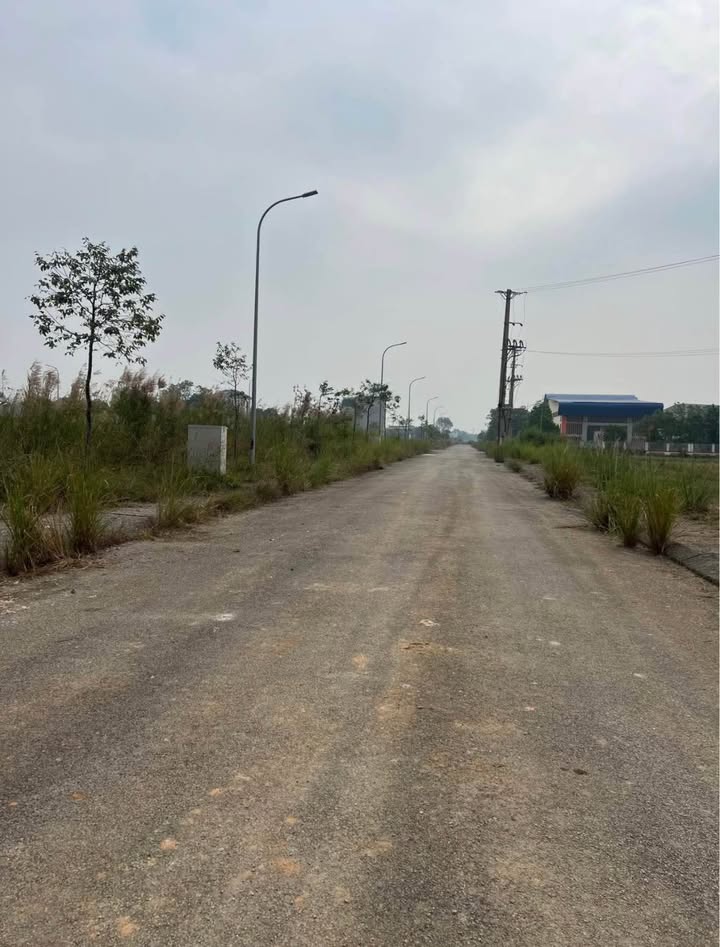 Đất nền Đông Tân 100m² giá 1 tỷ - Cơ hội đầu tư hấp dẫn!