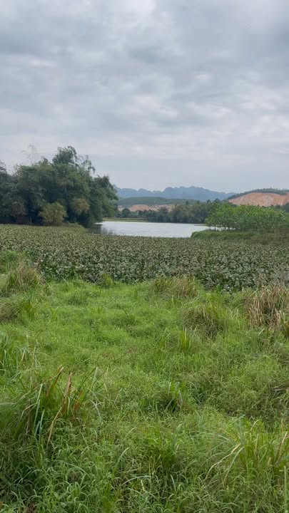 Đất ven hồ Đồng Tâm Lạc Thủy 5.418m² - Đầu tư sinh lời lâu dài!