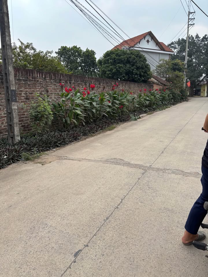 Đất nền Ba Trại - Ba Vì 373m² giá thỏa thuận - Vị trí đắc địa, view thủy đẹp!