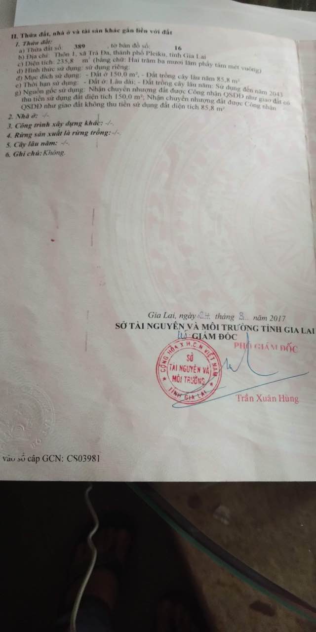 Đất ở Trần Văn Bình, Pleiku 244m² - Phù hợp xây dựng vila, kho xưởng, kinh doanh!