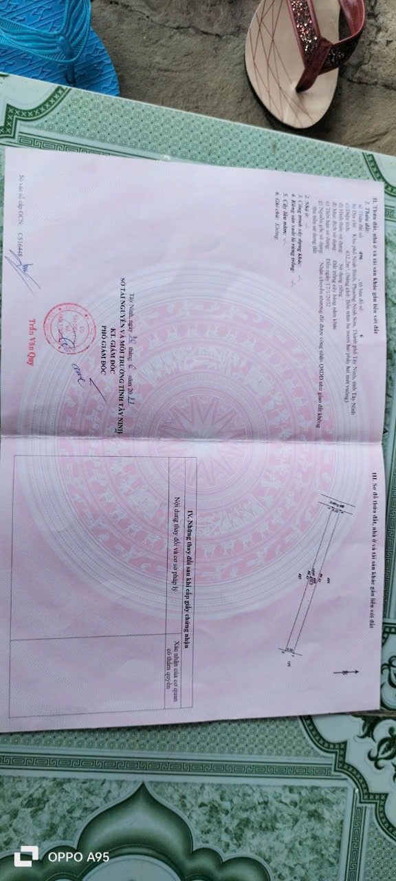 Đất Ninh Sơn, Tây Ninh 430m² giá 700 triệu - Đường xe ô tô vào tận nơi!