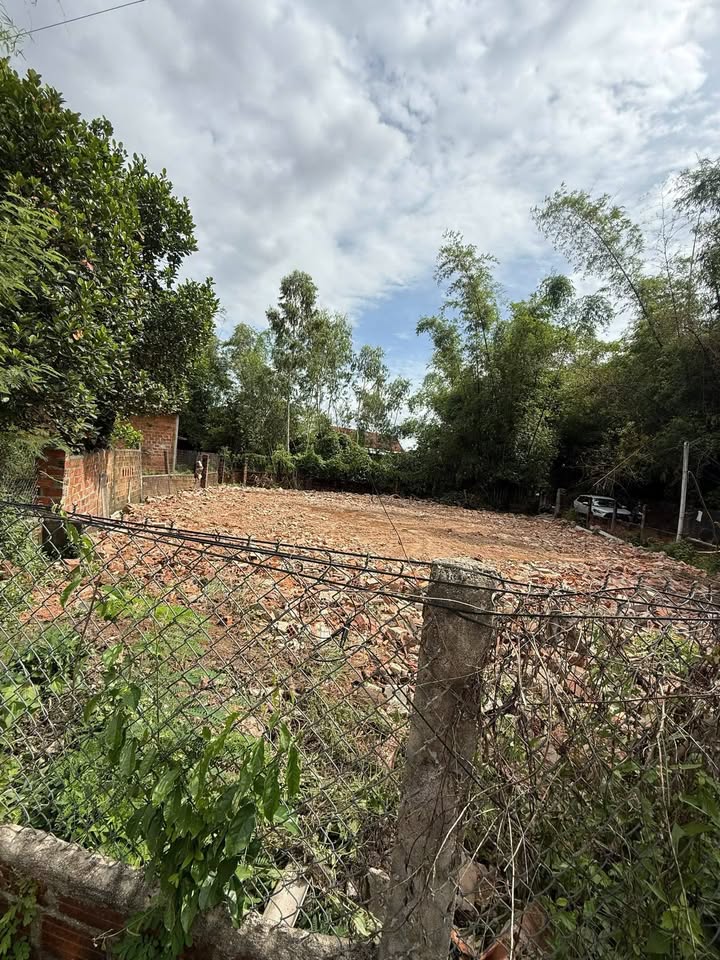 Đất nền Cát Tân Phù Cát 90m² giá thương lượng - Đường ô tô vào tận nơi!