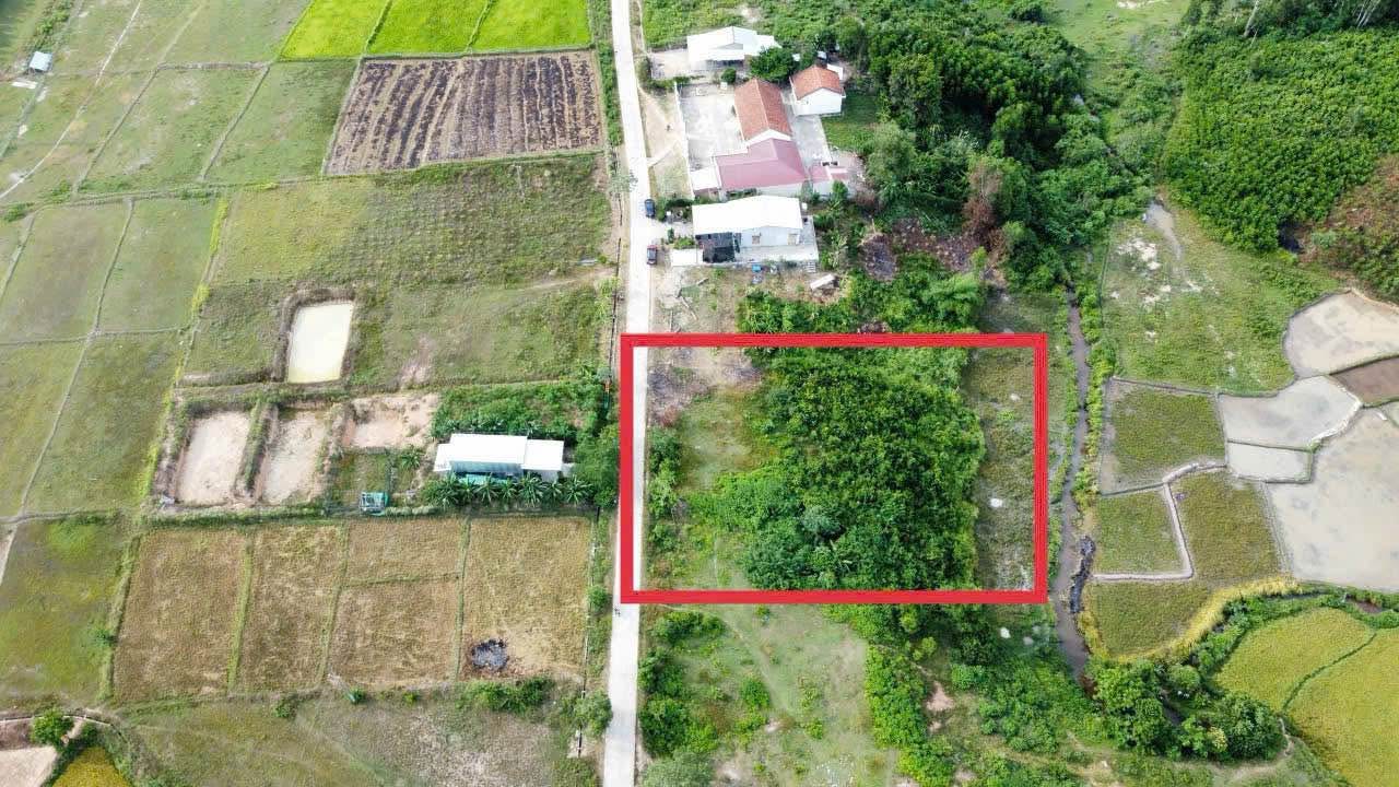 Lô đất farm 1817m² xã Khánh Bình chỉ 1.1 tỷ - Tiềm năng đầu tư lớn!
