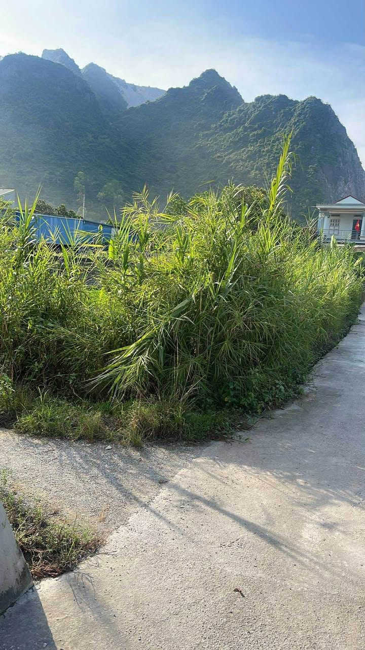 Đất 2 mặt đường tại xã Thanh Tân, Thanh Liêm 374m² giá 1 tỷ - Đầu tư sinh lời cao!