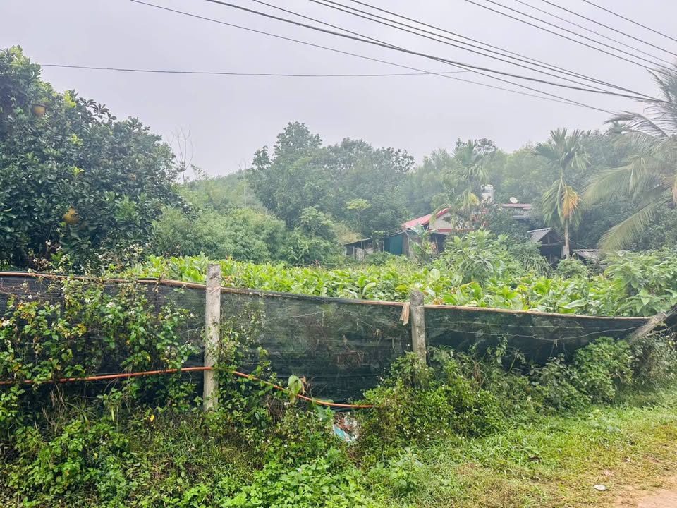 Đất nền Thịnh Minh Hòa Bình 944m² - Đầu tư sinh lời cao!