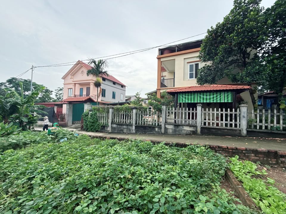 Đất nền Thanh Vân, Vĩnh Phúc 90m² giá 700 triệu - Cơ hội đầu tư tuyệt vời!