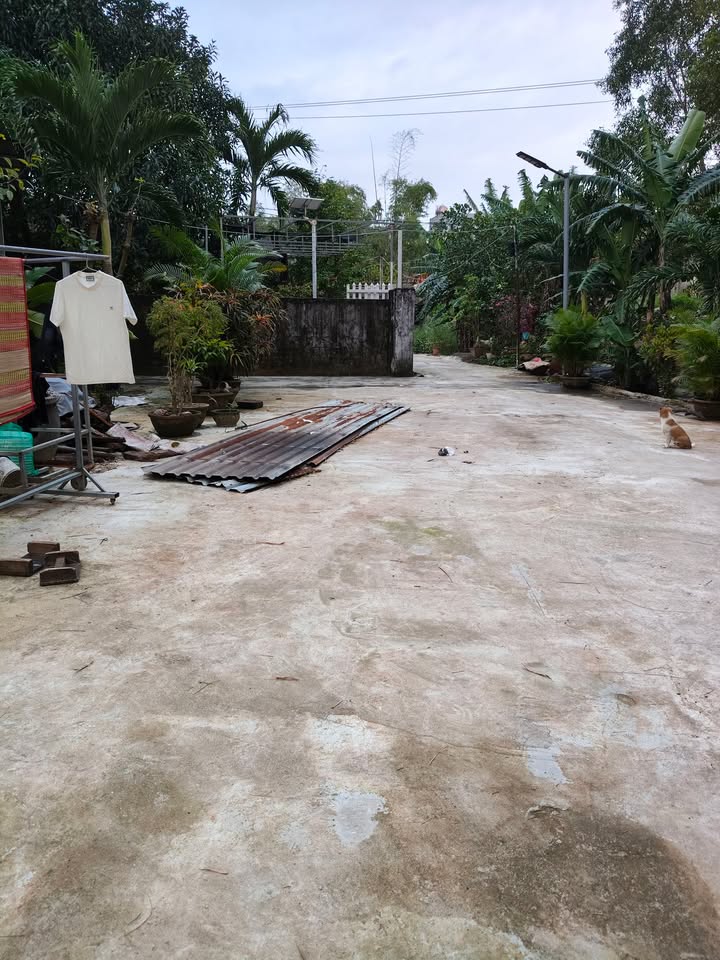 Lô đất Hòa Quý Đà Nẵng 86m² giá 2.5 tỷ - Cơ hội đầu tư tuyệt vời!