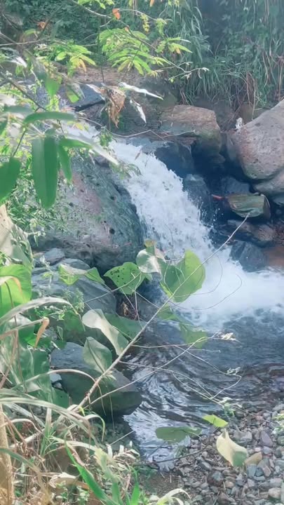 Đất thổ cư 12.960m² tại thôn 11, Bảo Lộc - Giá chỉ 1.4 tỷ, sổ đỏ chính chủ!