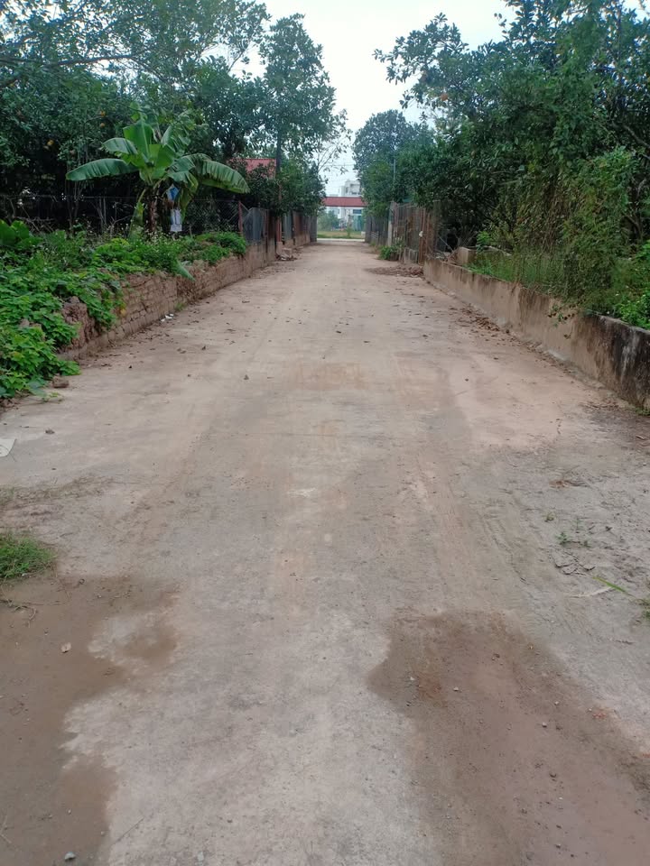 Đất Thôn Ngọ, Chuyên Mỹ, Phú Xuyên 90m² - Vị trí đắc địa, giao thông thuận lợi!