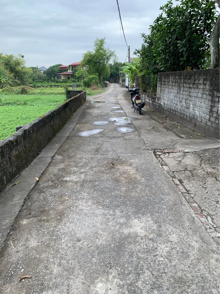 Đất Xóm 6 Tân Thành, Phường Trường Thi, Nam Định 121m² giá 850 triệu - Vị trí đẹp, xây nhà vườn lý tưởng!