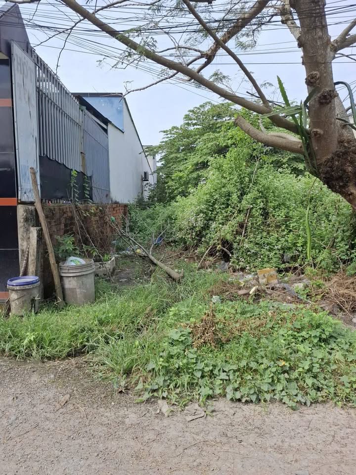 Đất thổ vườn ấp Tràm Lạc, Mỹ Hạnh Bắc 200m² giá 1.85 tỷ - Đường lớn, gần trung tâm!