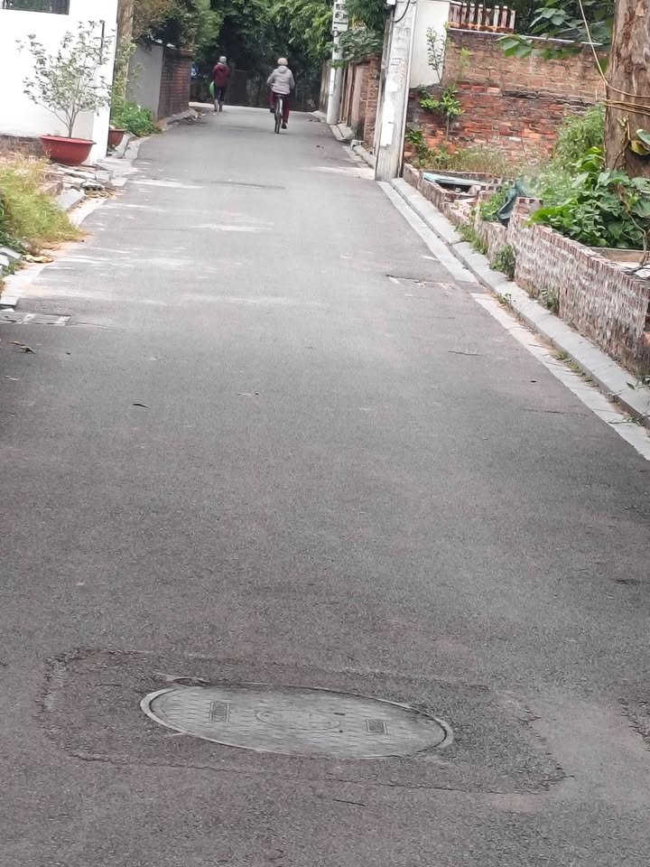 Đất nền Vân Nội, Đông Anh 44m² giá 4 tỷ - Sổ đỏ chính chủ, ô tô tránh