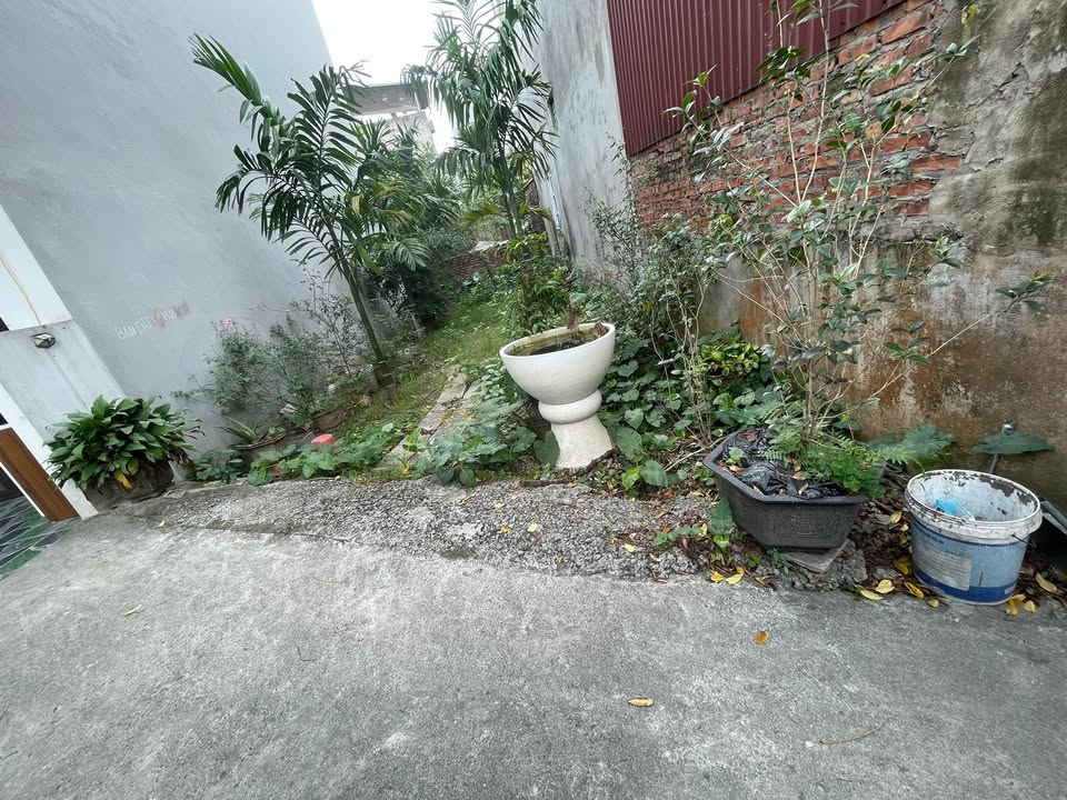 Đất thổ cư 65,5m² Thuận An giá thỏa thuận - Ô tô vào tận đất!