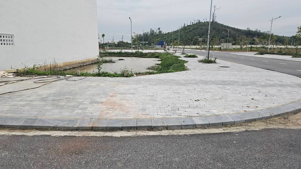 Đất nền Rừng Thông, Đông Sơn 99m² giá 1 tỷ - Đầu tư sinh lời ngay!