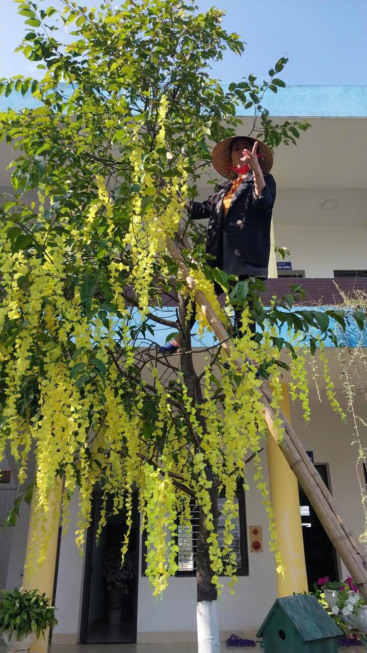 Bán gấp siêu mặt tiền kinh doanh tại Bỉm Sơn, Thanh Hóa - 4.500m² chỉ 60 tỷ!